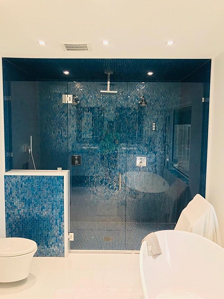 glass shower door and wall